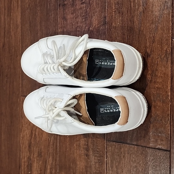 Sperry Canvas Shoes - Picture 3 of 4